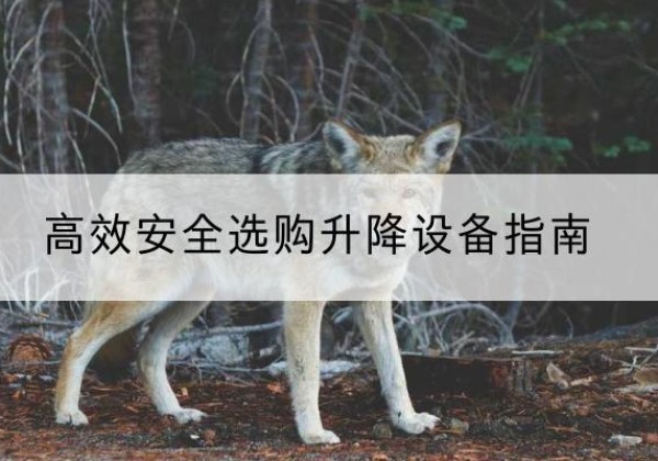 农安升降货梯厂家推荐-*安全选购升降设备指南