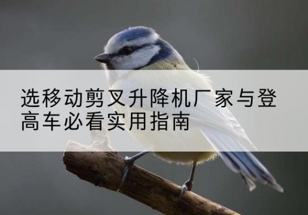 农安电动升降机厂家-选移动剪叉升降机厂家与登高车必看实用指南