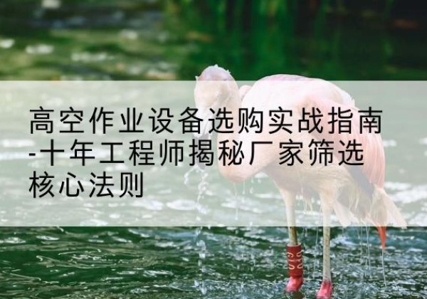 农安剪叉式升降机厂家-高空作业设备选购实战指南-十年工程师揭秘厂家筛选核心法则